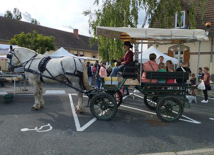 Les calèches de la Rive