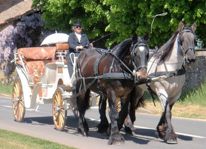 Mariage de rêve avec les calèches de la Rive