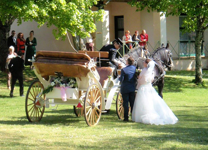 Mariage de rêve avec les calèches de la Rive
