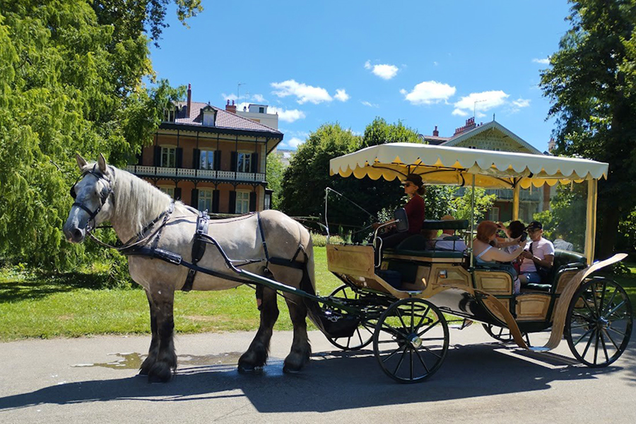 Les calèches de la Rive - Promenade détente et historique face au Chalet de l’Empereur