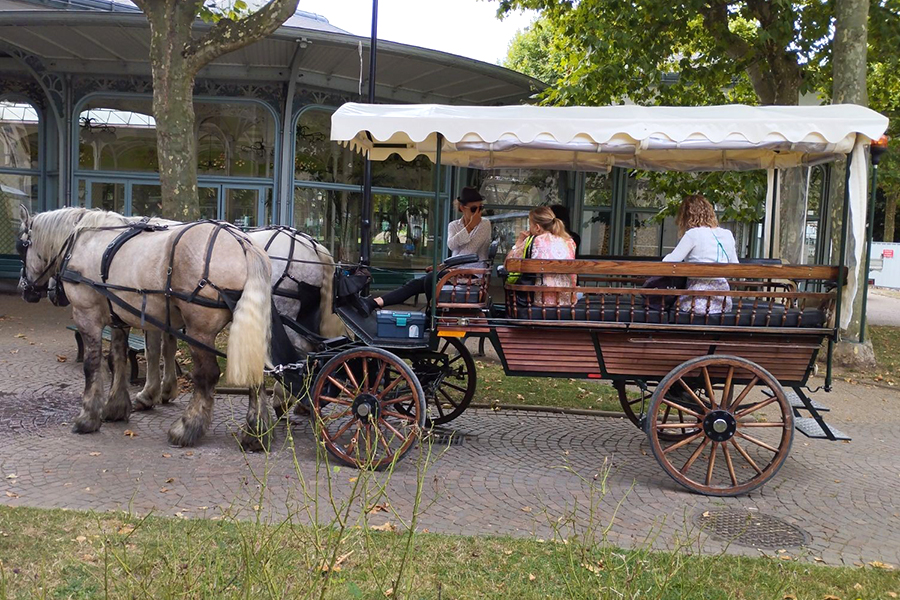 Les calèches de la Rive