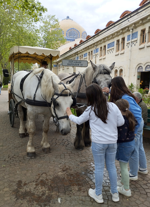 Les calèches de la Rive