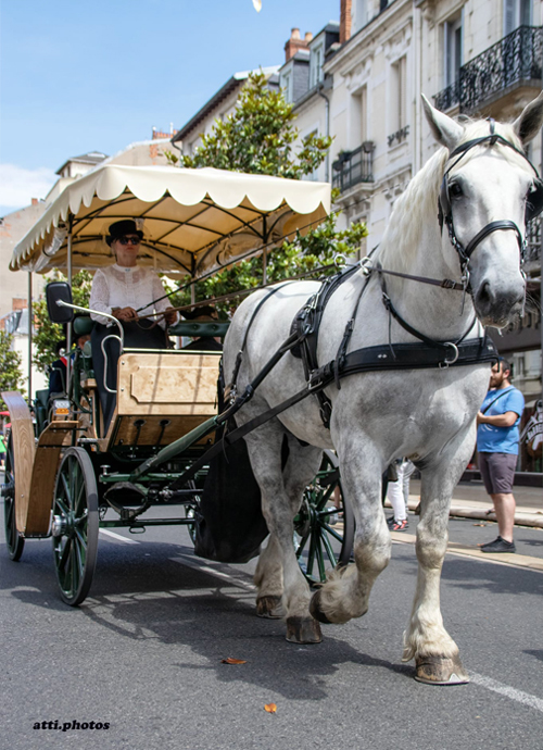 Les calèches de la Rive